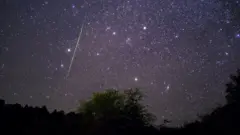 Estrella fugaz Leónida sobre Payson, Arizona
