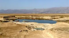 ብፖታሽ ሃብታም ከባቢ ኮሉሊ