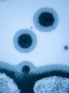 Superfície de lago congelado mostra três círculos escuros rodeados por gelo rachado. Ao fundo, linhas curvas maiores de neve e gelo rodeiam os círculos.