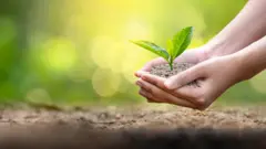 जागतिक पर्यावरण दिन