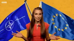 Вибори