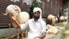 पशू व्यापारी चौधरी यकीन मोहम्मद