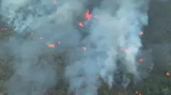 Incendio en el Amazonas