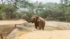 விசாகப்பட்டினம்