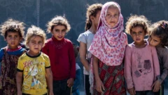 refugee 