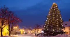 شجرة العيد.