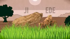 Akụkọ Igbo kọwara na ji na ede bụ ụmụnne zọọrọ Igbo ndụ n'oge oke agụụ