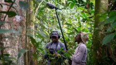 Dos investigadores, uno con un micrófono en un poste largo y otro con un dispositivo de grabación, trabajan en la densa selva para captar el rugido del mono Colobus congoensis