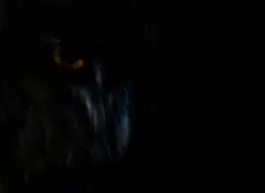 Mocho-real em sombra profunda, com seu olho laranja brilhando e leves arbustos sobre suas penas escuras