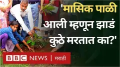 मासिक पाळी