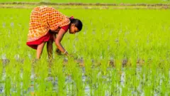 మహిళా రైతు వ్యవసాయం