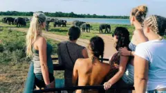 Tourism Sri Lanka/Facebook