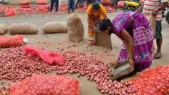 বাজারে পেঁয়াজ আনছেন চাষিরা।