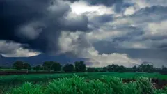 gujarat, monsoon, ગુજરાત , ચોમાસું, બીબીસી ગુજરાતી,ગુજરાતમાં વરસાદ