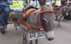 نمبر پلیٹ، اجرک