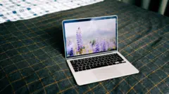 Una laptop sobre una cama que está encendida y muestra en su pantalla una foto de unas plantas.
