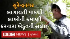 જ્ઞાન અને રસના સંગમે ગુજરાતી ખેડૂતનું જીવન કેવી રીતે બદલી નાખ્યું?
