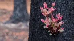 துளிர்விடும் செடிகள்