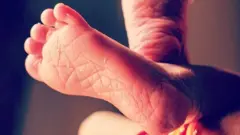 እግሪ ቆልዓ