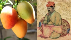 பேரரசர் அக்பரை பித்து பிடிக்க வைத்த மாம்பழம் - வரலாற்றில் என்னவெல்லாம் செய்தது?