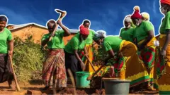A women's collective in Choma, central Malawi, has come together to master the art of building specially designed "corbelled" latrines, using bricks.