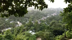 জঙ্গল সলিমপুর