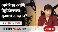 पेट्रो डॉलर 