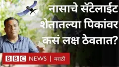 नासाचे सॅटेलाईट शेतातल्या पिकांवर कसं लक्ष ठेवतात?