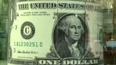 صورة لدولار أمريكي