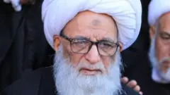 آیت اللہ حافظ بشیر حسین النجفی