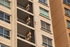 ภาพคอนโดฯ ใน จ.เชียงใหม่ ซึ่งปรากฎรอยร้าวที่ตัวอาคารภายนอก หลังเกิดเหตุแผ่นดินไหวเมื่อวันที่ 28 มี.ค.