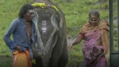 ఏనుగుతో బొమ్మన్, బెల్లీ