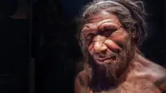நியாண்டர்தால் உலகம்