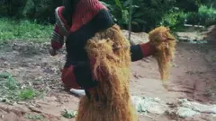 Mmọnwụ