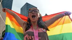 A supporter attends the annual "Pink Dot" event in a public show of support for the LGBT community at Hong Lim Park in Singapore on July 1, 2017.