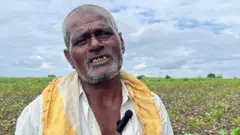 शेतकरी शेख इब्राहीम हमीद