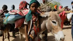 طفل يقف الى جانب حمار في دارفور، السودان