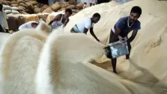 ভারতে চালের একটি কারখানায় শ্রমিকরা কাজ করছেন।