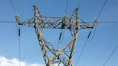 बिजुली निर्यात 