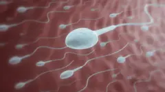 સ્પર્મ ડોનર