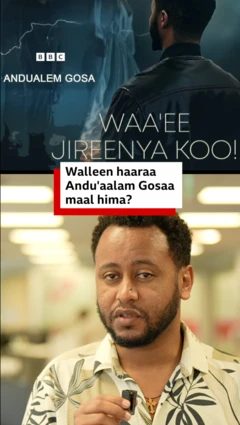 Artist Andu'aalam Gosaa