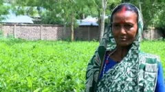 ভালো নেই চা শ্রমিকেরা