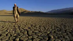 پاکستان وچکالي