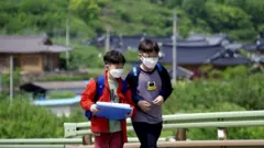 서울에서 나고 자란 12살 초등학생 시후는 올해 초 시골의 작은 학교로 전학왔다