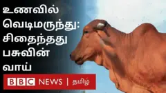 கோப்புப்படம்