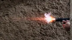 senjata api, pistol