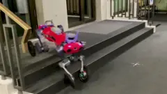 ټکنالوزي