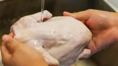 ayam mentah