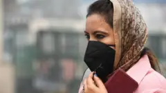পলিউশান মাস্ক বা দূষণ-নিরোধী মুখোশ পরে একজন দিল্লিবাসী
