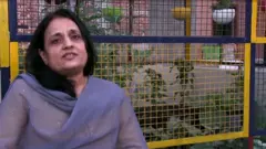 ਰੂਫ ਗਾਰਡਨਿੰਗ